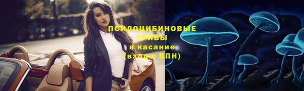 гашик Волоколамск