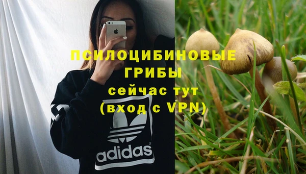 гашик Волоколамск