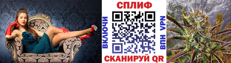Канабис сатива Обь